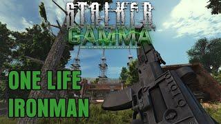 IT'S BRAIN SCORCHER TIME - GAMMA 1 LIFE IRONMAN