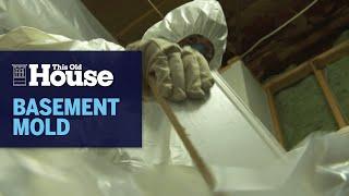 How Basement Mold Is Removed | This Old House