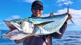 Trolling for mackerel (catch & Cook)