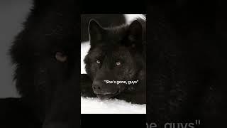 My entire past life death memory...(READ DESCRIPTION)#therian #therianthropy #pastlives
