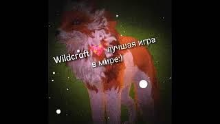 #едит #wildcraft #видео #подпишись #ястаралась ШАБЛОН ХАЙПОВЫЙ