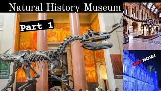 Natural History Museum (London UK) #london #viral #india #travel#MB travel videos