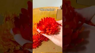 DIY SUPERBLOOM dress (2/3) | #DIY #SUPERBLOOM #concertoutfit #diyconcertoutfit #misterwives