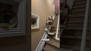 Innovative Staircase Lift
