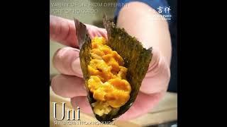 Best Season for Sea Urchin - Variety of Hokkaido Uni