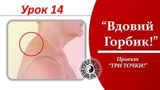 14 1 Вдовий Горбик 08