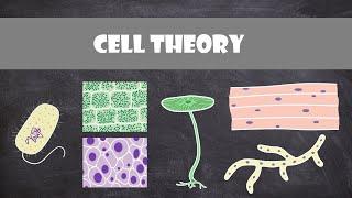 Cell Theory | Cell Biology