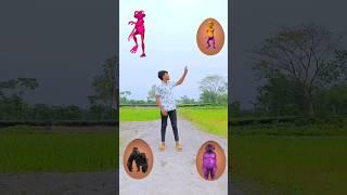 Magical Eggs to Dancing Frog, Funny jocker, Gorilla & dog - funny vfx