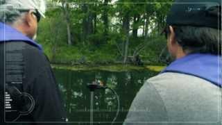 Go Fish in Ontario - No Brainer