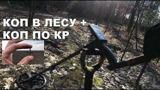 Коп в кайф с XP Deus и ко. [+18] Коп монет в лесу и коп по КР на поле