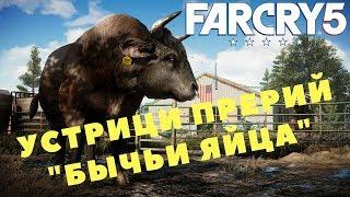 Far Cry 5 - УСТРИЦИ ПРЕРИЙ "БЫЧЬИ ЯЙЦА" (ПРОХОЖДЕНИЕ ИГРЫ) #22