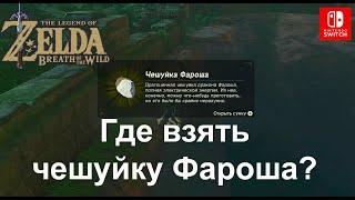 Где взять чешуйку Фароша? The Legend of Zelda.