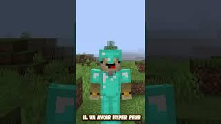 J'ai mit un FAUX Skin en diamant pour le TROLL !