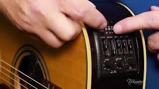 Takamine CTP-3 CoolTube™ Preamplifier
