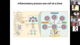 Introduction to Bioinformatics: Intro to immunology p3