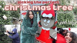 picking the perfect christmas tree  VLOGMAS DAY 4 | *christmas tree* *vlog* *family traditions*