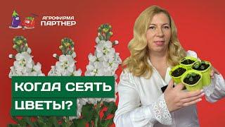 ПОСЕВ И ПЕРЕСАДКА ЦВЕТОЧНОЙ РАССАДЫ В ЯНВАРЕ