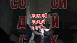 Солевая страшная шизофрения #реабилитация #альфапвп