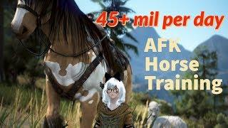 BDO: AFK horse training (45m+ / night)