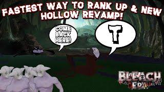 FASTEST Way To Rank Up & New Hollow Revamp! | [ALPHA] Bleach Era