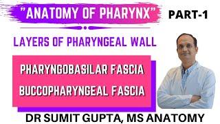 PHARYNX : LAYERS || PHARYNGOBASILAR FASCIA || BUCCOPHARYNGEAL FASCIA || ANATOMY ||