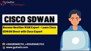 Become NextGen WAN Expert - Learn Cisco SDWAN Direct with Cisco Expert