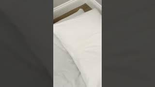 Futon Beds from Japan Initial Review