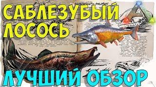 Саблезубый лосось (Sabertooth Salmon) в АРК. Лучший обзор: приручение и особенности  в ark