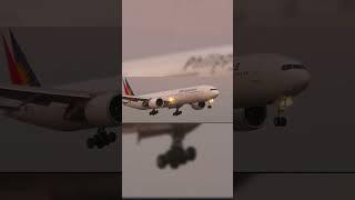 Shake it to the max | Aviation edit #aviation #edit #shorts #youtubeshorts