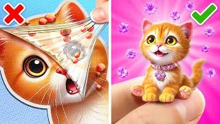 Amazing Hacks For Pet Owners  Lovely Fidgets and Gadgets