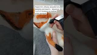 сухое валяние игрушек из шерсти с машинкой FastFelt в 30 раз быстрее. #diy #felting #сухоеваляние