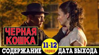 Сериал Черная кошка 11 и 12 серия: дата выхода и содержание