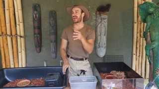 Best Baby Tortoise Care Info! Kamp Kenan S2 Episode 18
