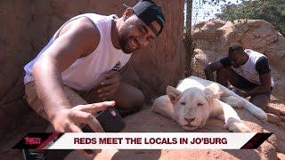 Reds on safari in Johannesburg