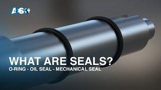 What Are Seals, O-rings, Oil Seals, and Mechanical Seals and How Do They Work