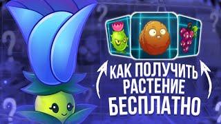 Как бесплатно получить любое растение в PvZ 2