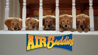 AIR BUDDIES: Los Amigos