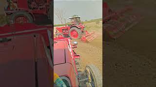#allu #ki #zameen #kityari #Al #madina #agro #farm