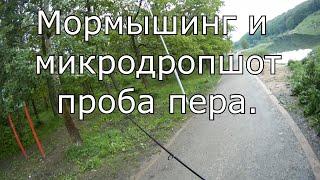 Мормышинг и микродропшот проба пера.