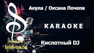 КАРАОКЕ  Акула - Кислотный DJ  сделано в студии: KARAOKE-BASE.CLUB