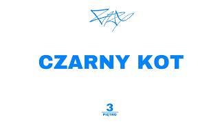 FAZD - CZARNY KOT