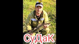 Судак.Ловля судака на спининг на реке ИК.джиг и на отводной