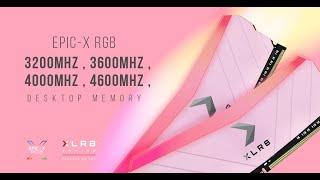 XLR8 RGB DDR4 Desktop Memory "PINK LIMITED EDITION | XLR8 RGB Dram