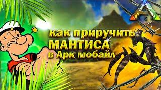 Как приручить БОГОМОЛА в ARK MOBILE(никак) | RIZVAN PVE PVP