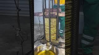 cold pressed sunflower oil production process