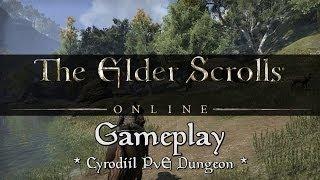 Elder Scrolls Online - Cyrodiil PvE (Gameplay)