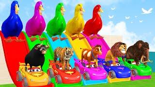 5 Giant Duck Cartoon,Cow,Mammoth,Elephant,Lion,Tiger Paint Wild Animals Crossing Fountain Animation