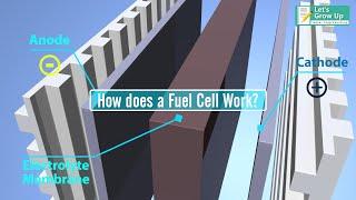 How does a #hydrogen fuel cell work? | what is #hydrogen fuel cell | #hydrogencell explain