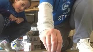 Dr. Bucci paints with ice paints