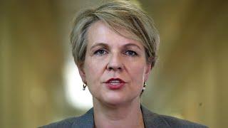 Letter surfaces outlining why Tanya Plibersek blocked a $1 billion mine project